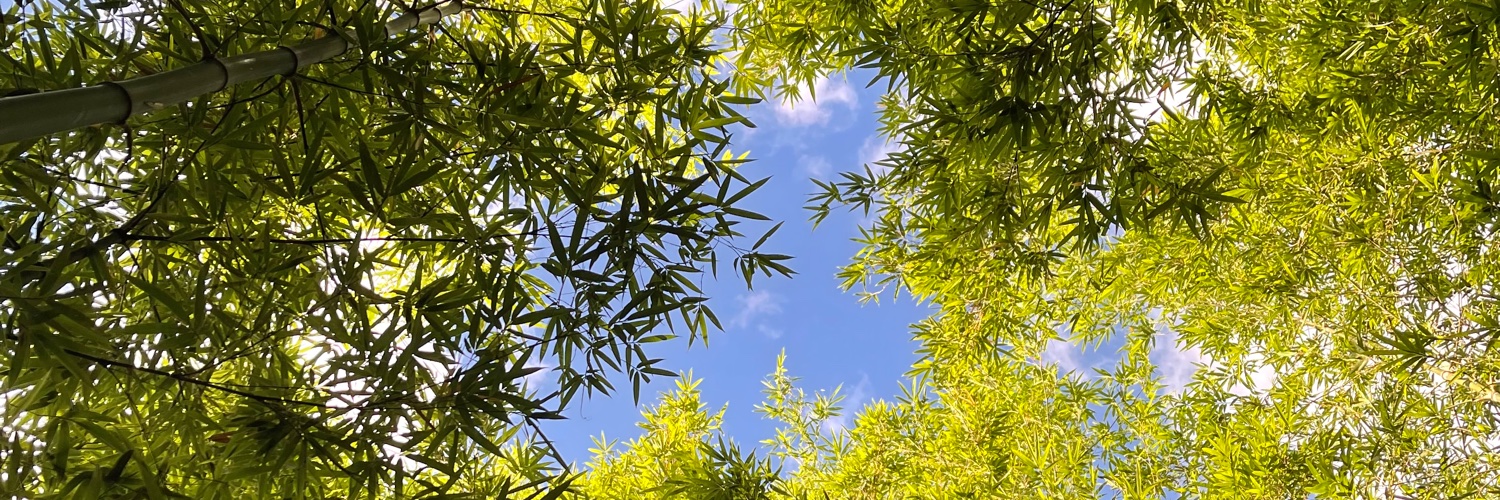 WYB1711's profile banner image