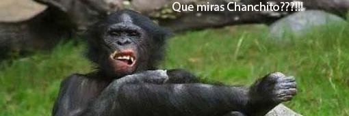 se me hincharon banner