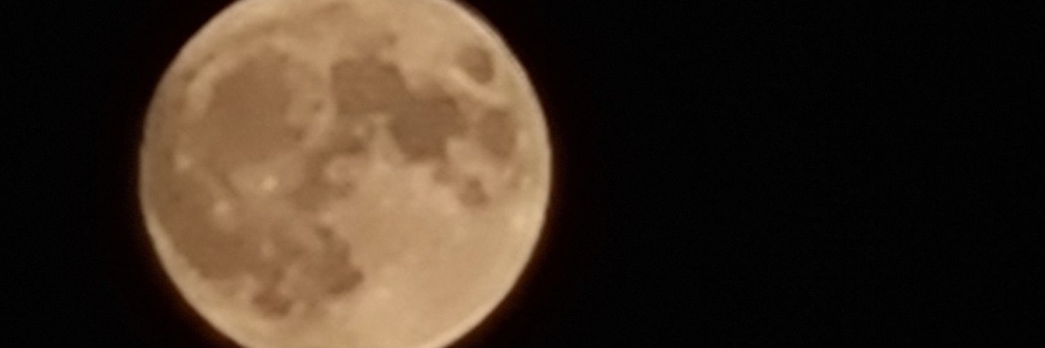sebnemyz's profile banner image
