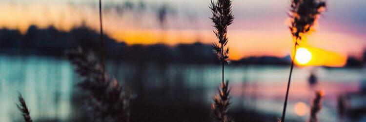 anaksehat91's profile banner image