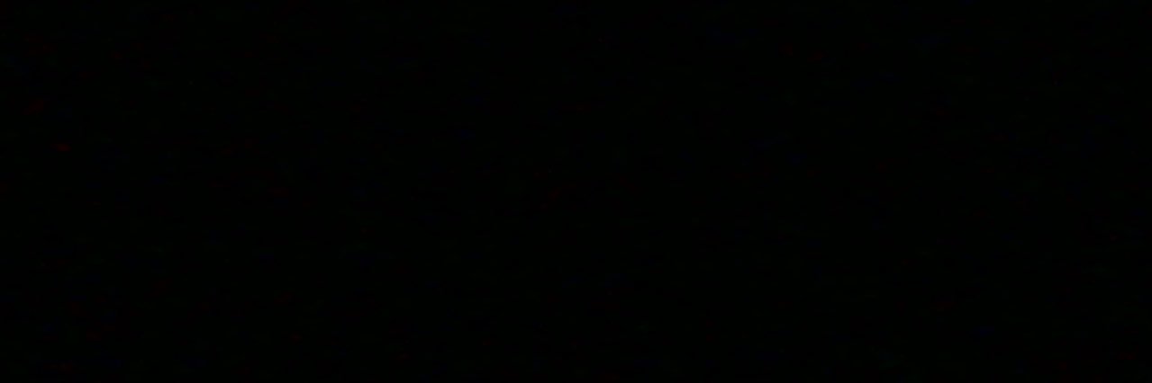 beberice12's profile banner image