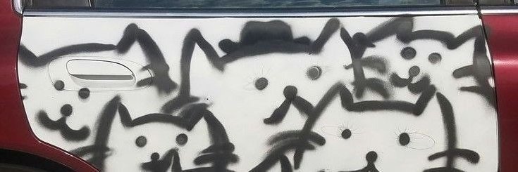 sifrsak's profile banner image