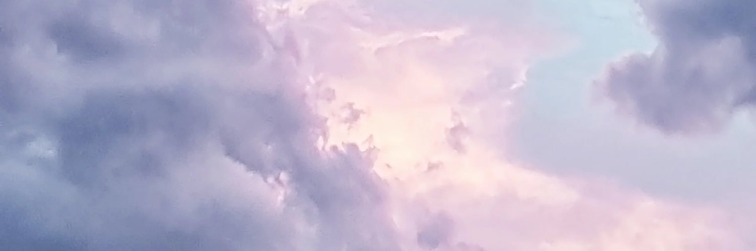 meganslides's profile banner image