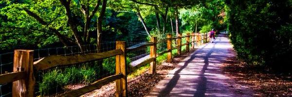 Info_HGG Profile Banner