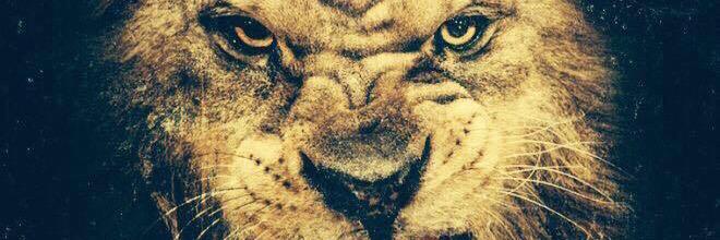 sinzful's profile banner image