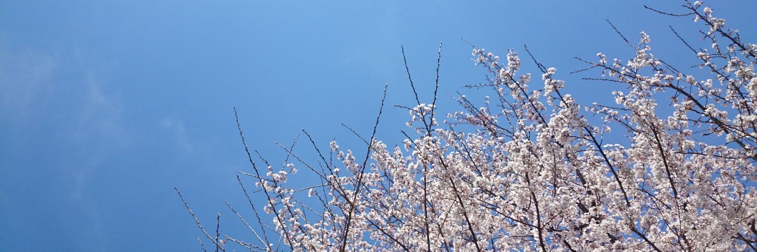 3031421's profile banner image