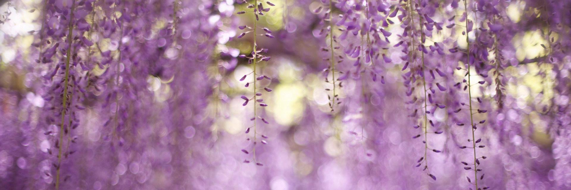 DelatSami's profile banner image