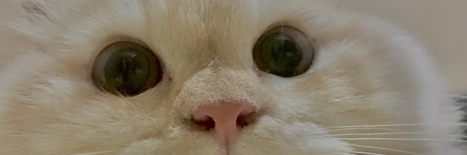 🤖 banner