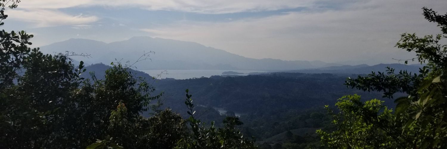 mattsigowa's profile banner image