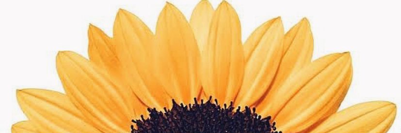 TangledHunch's profile banner image