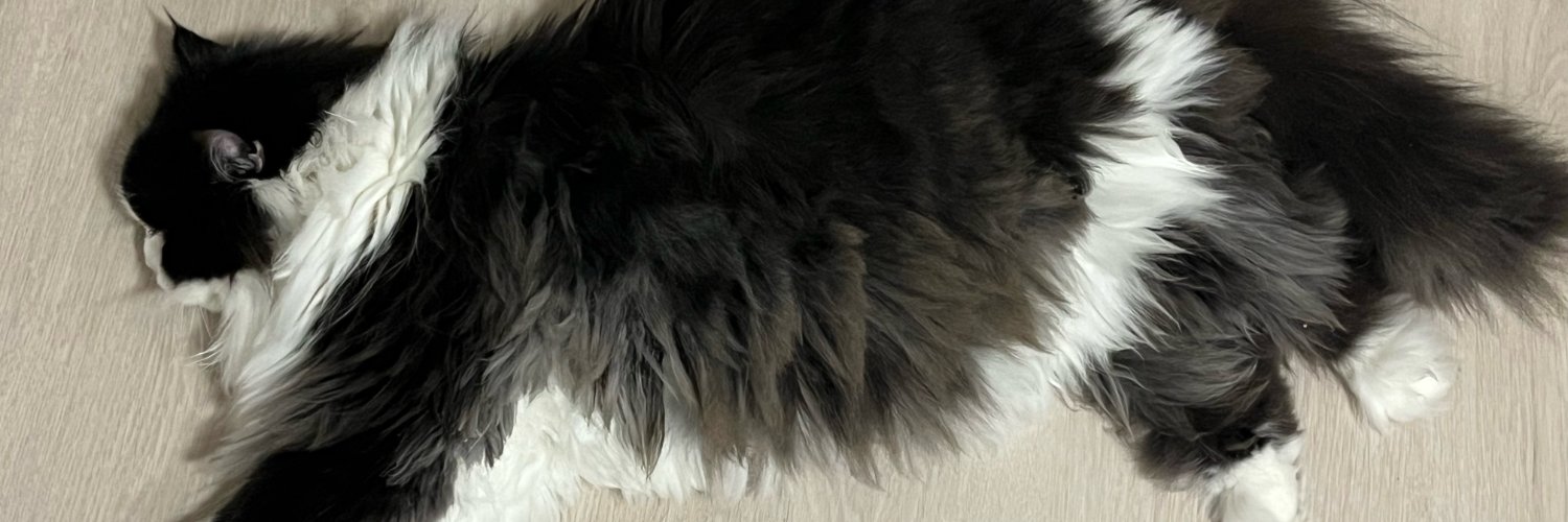 NALLLLLLLLL's profile banner image