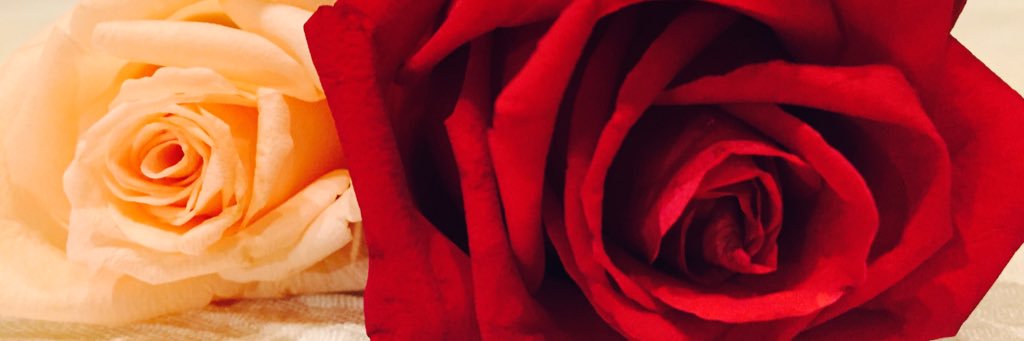 Ranii_da's profile banner image
