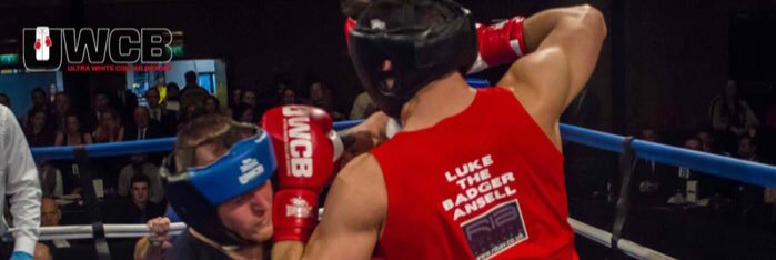 Luke Ansell ⚒ banner