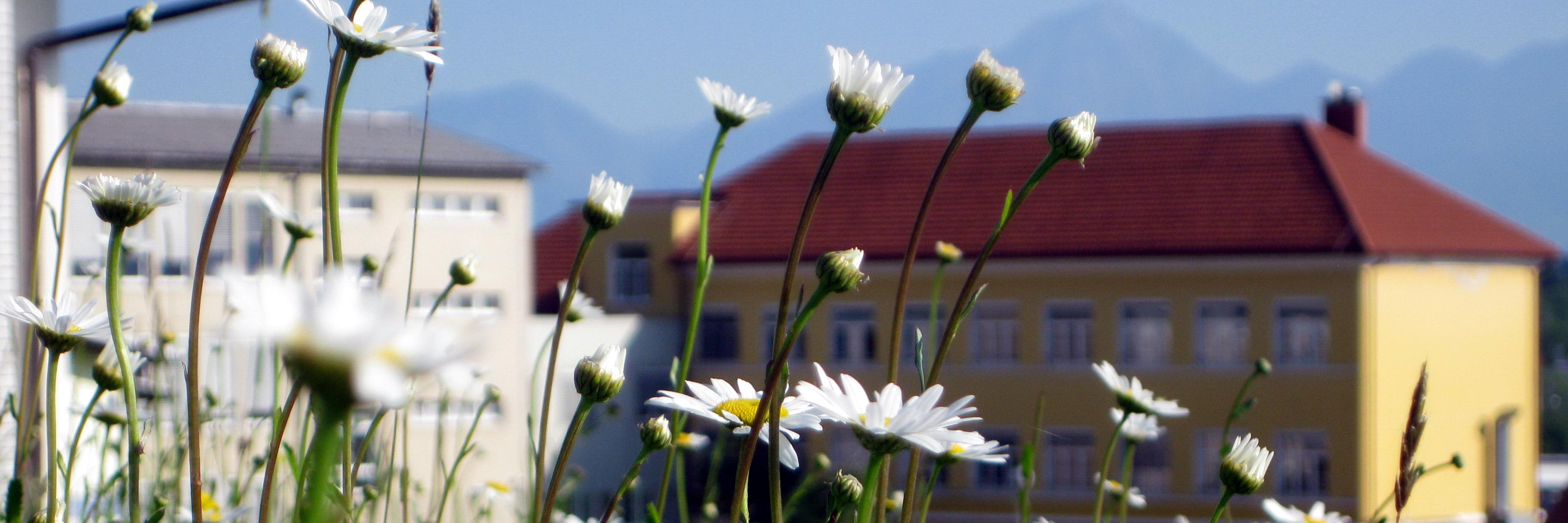 OS Preska Medvode banner