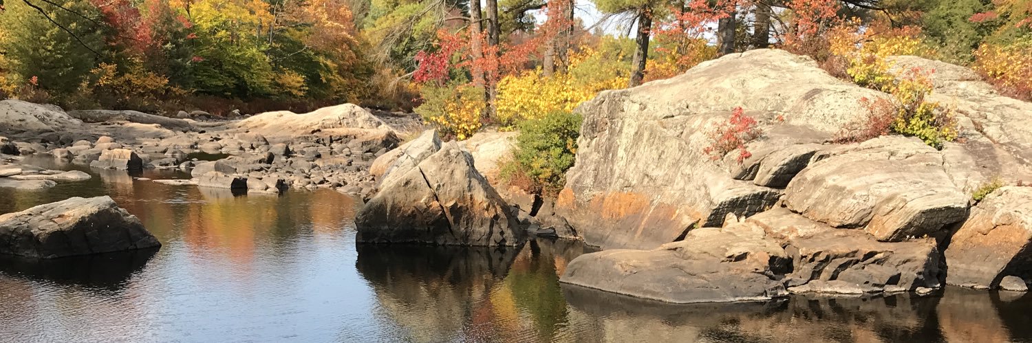 TCL 🇺🇸 🦅 banner