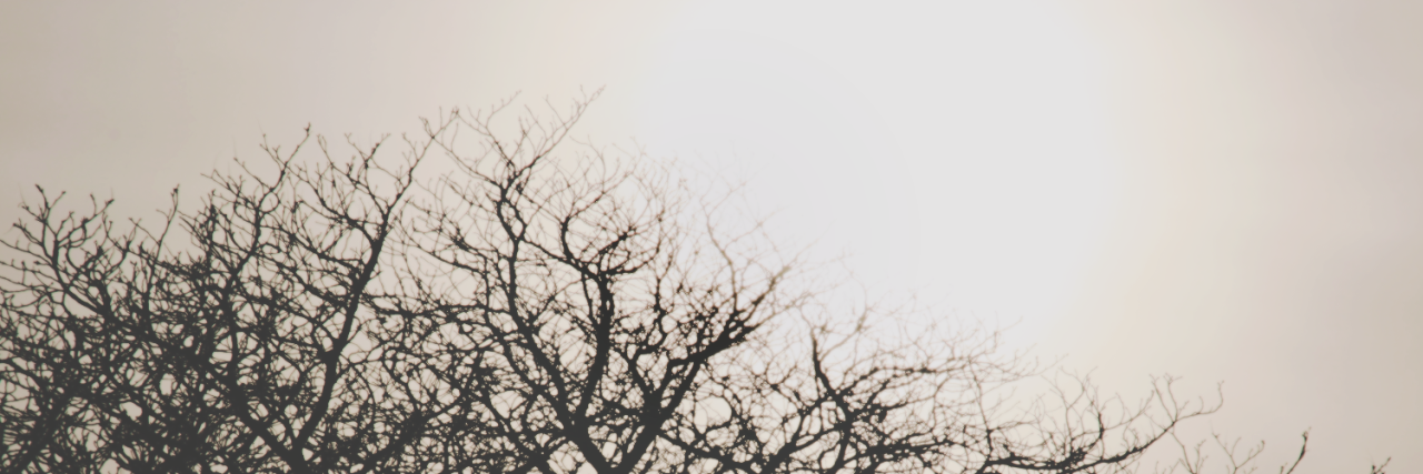 crysglagdr's profile banner image