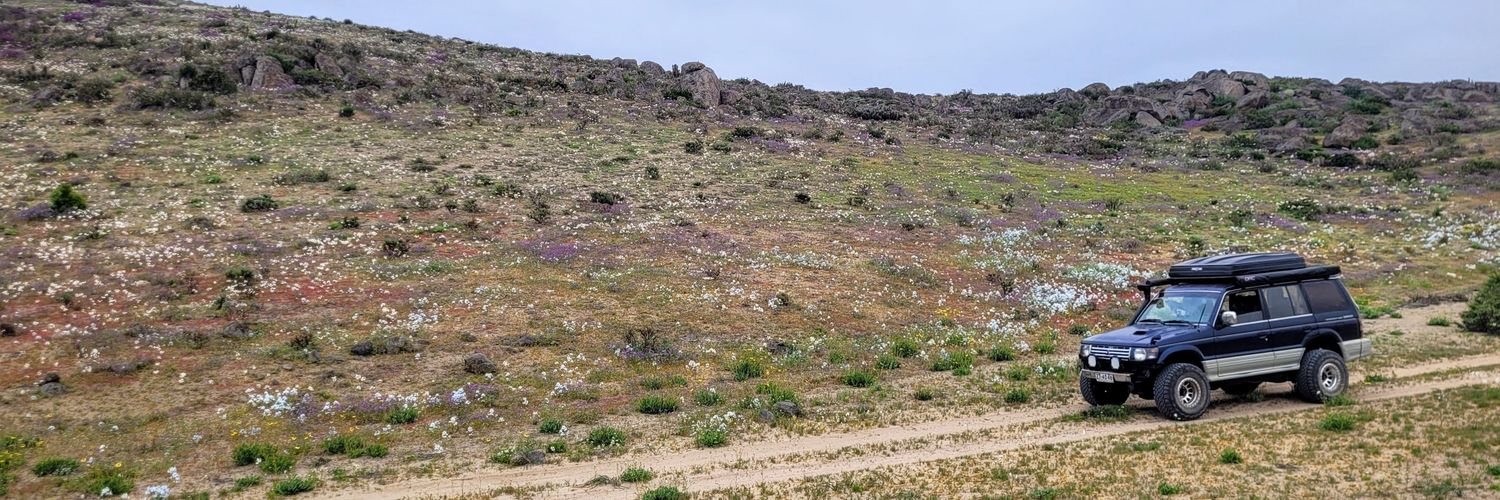 Seba de Atacama banner