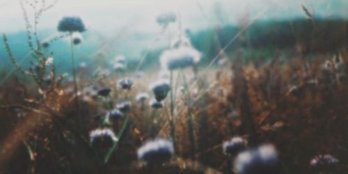 Paynsantgdr's profile banner image