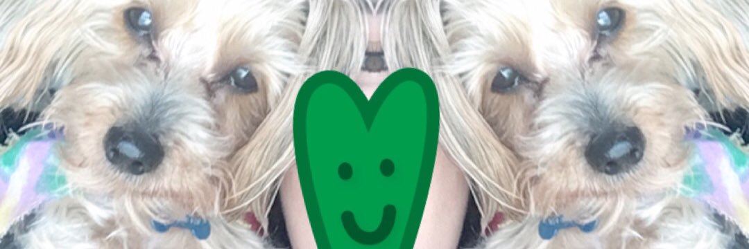 EvelynnSensebe's profile banner image