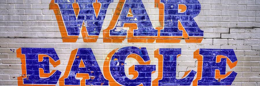 WAREAGLE1121's profile banner image