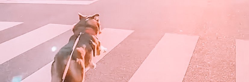 andreiaf00's profile banner image