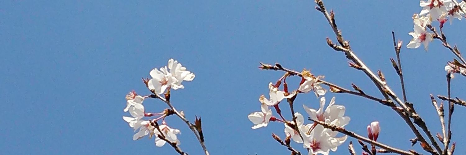 Atu_Kougetsu's profile banner image