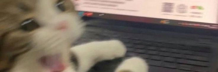 amenda banner