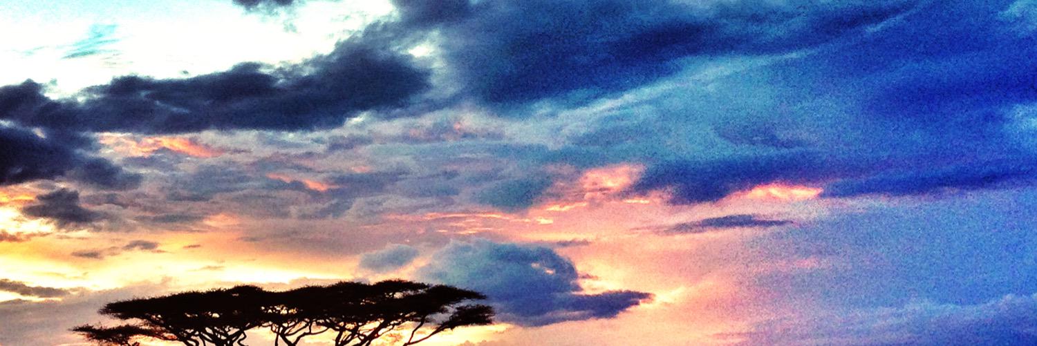 globe_nomad's profile banner image