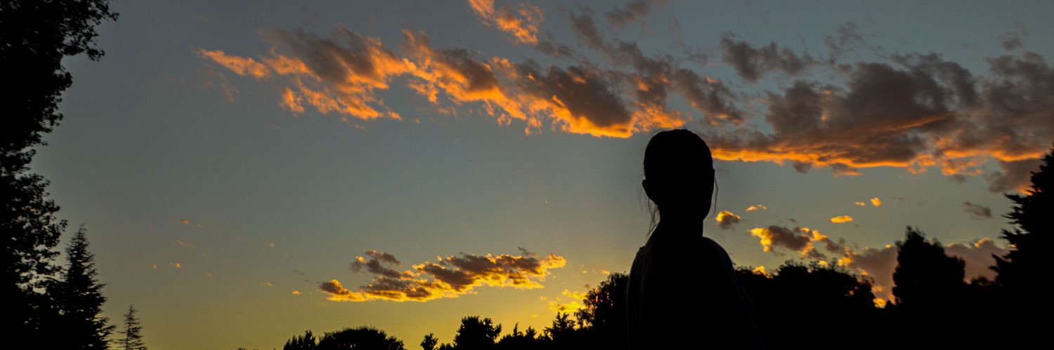 sofiacuevasok's profile banner image