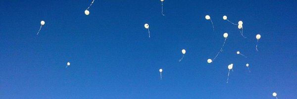 MichaelvanMind Profile Banner