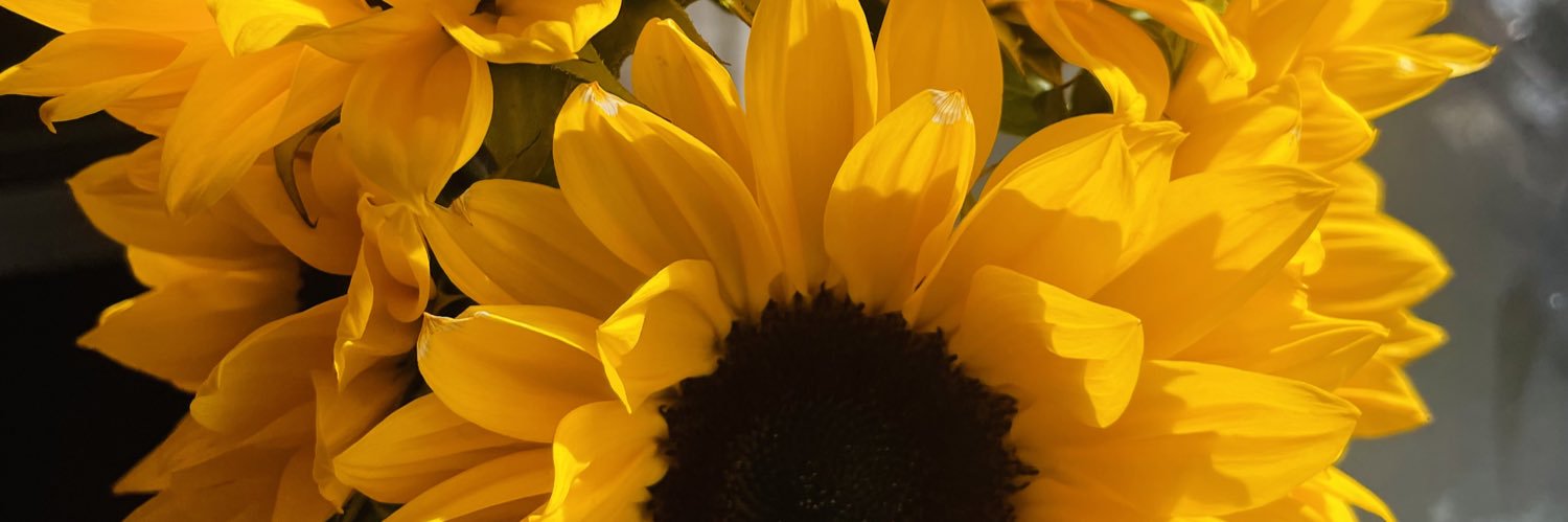 MSpring93's profile banner image
