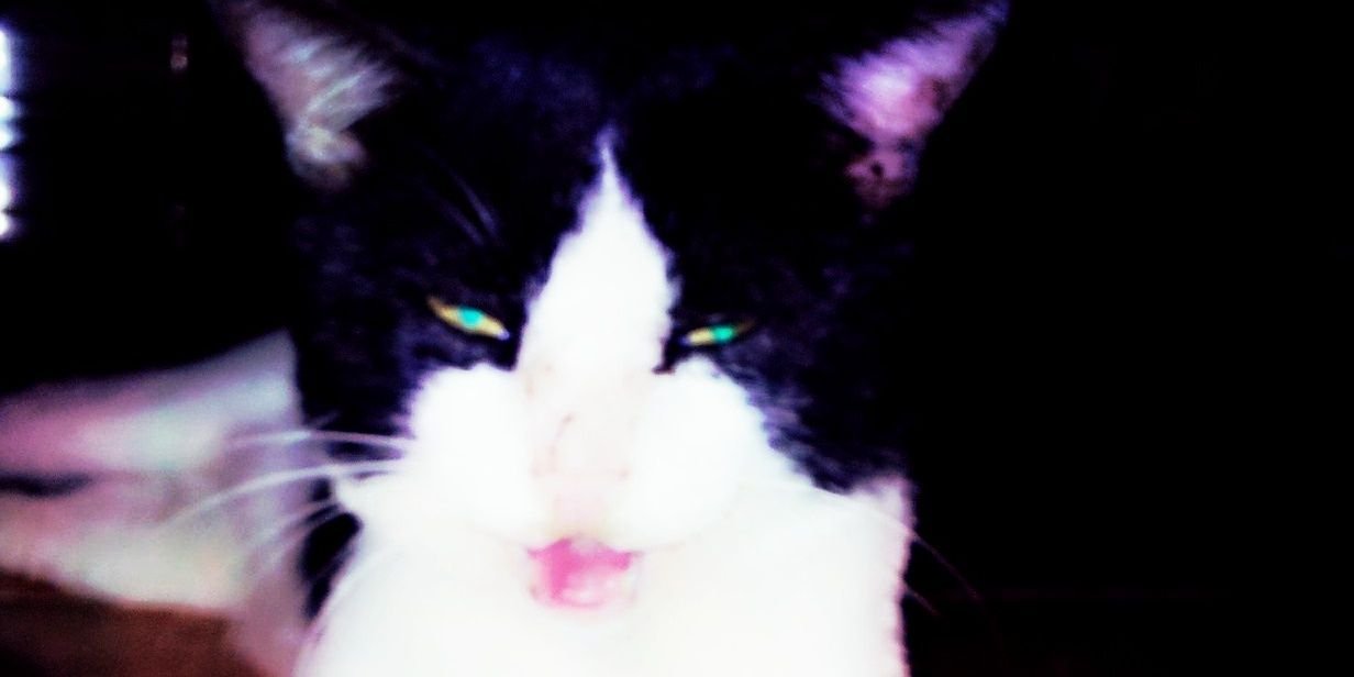 ditaapp's profile banner image