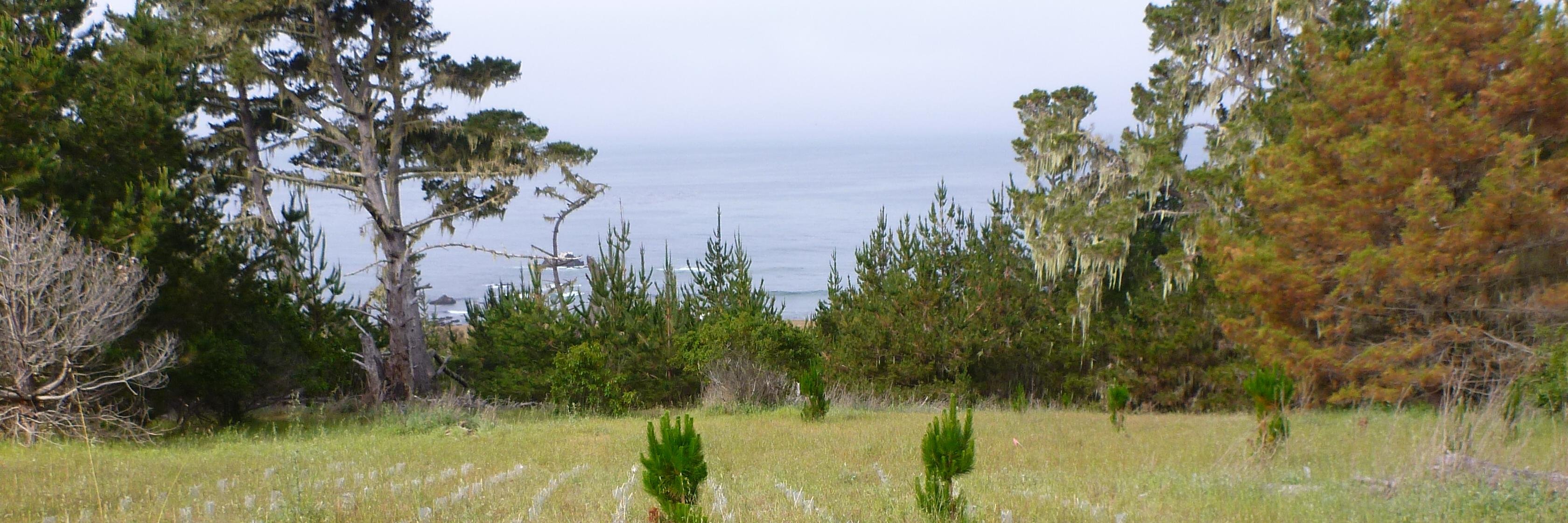 Dr Megan Rúa banner