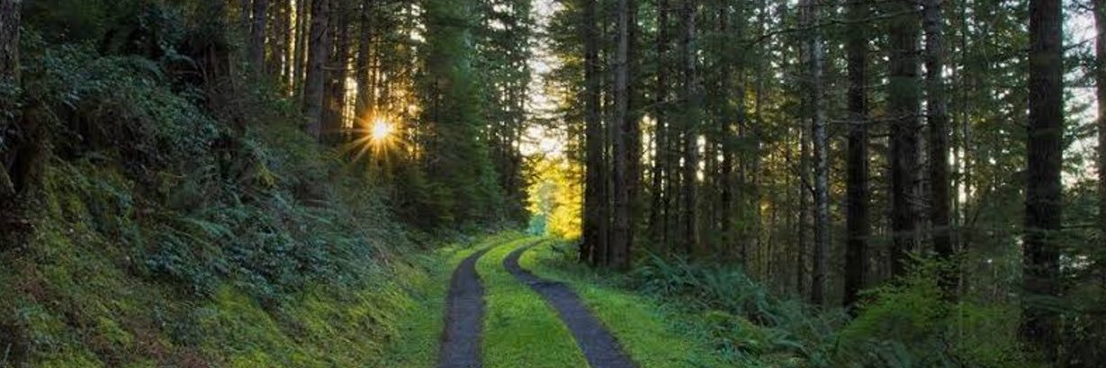 ScalpMaster Nina banner