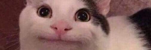 ต๊อต่อคิตตี้ banner