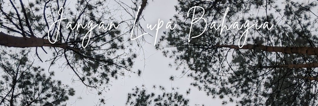 sefold's profile banner image