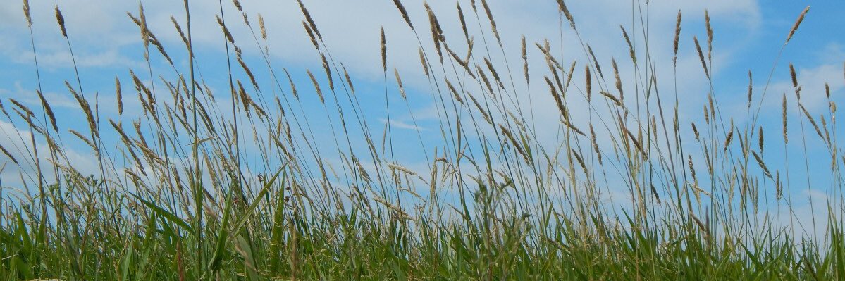 apathyart's profile banner image