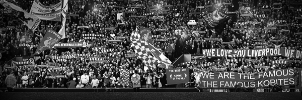 TheBurrow Profile Banner