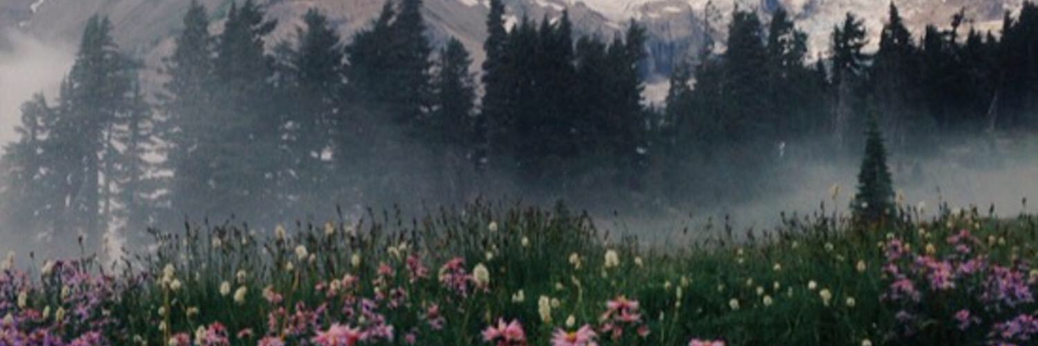 le_silencee's profile banner image