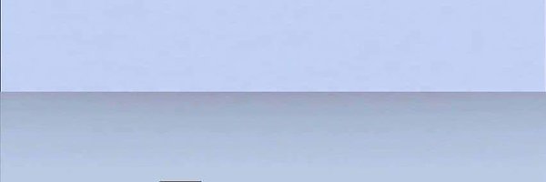 megrevs Profile Banner