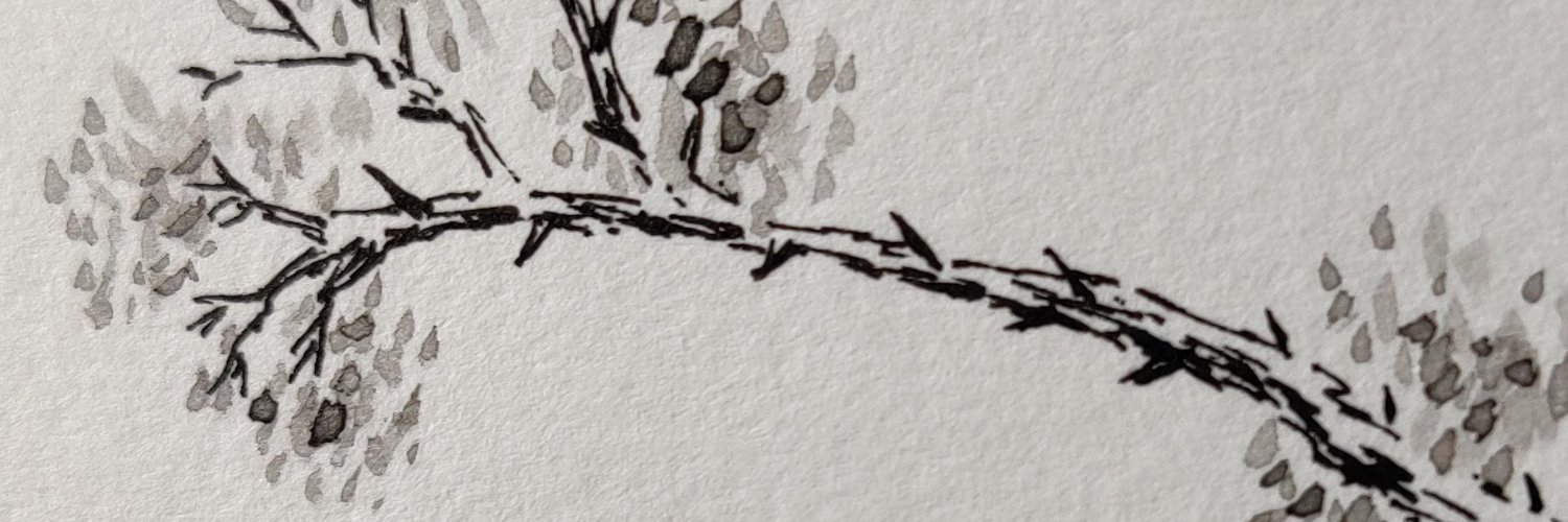 zbeckles's profile banner image