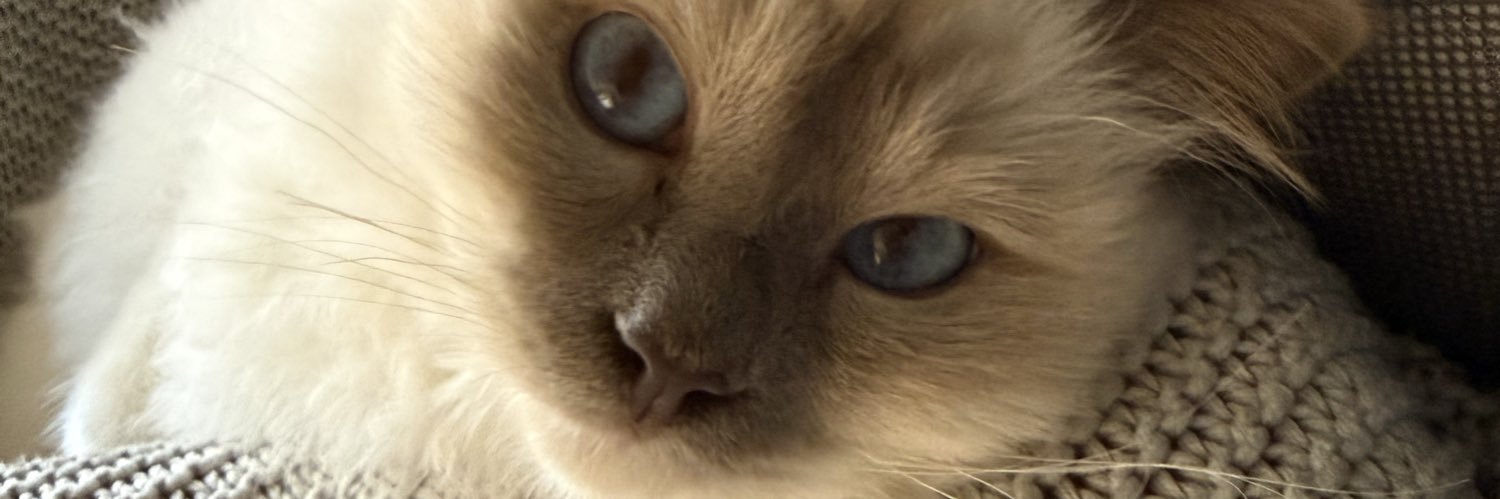 Suzychkr's profile banner image