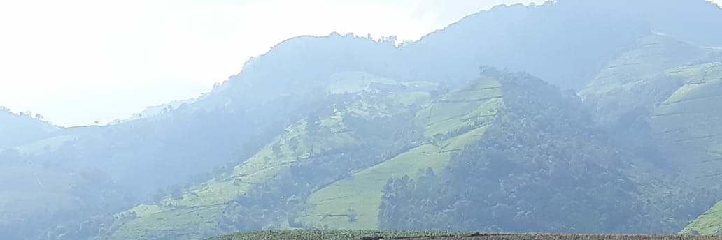 syennig's profile banner image