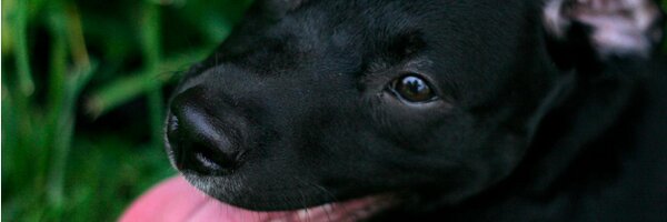 itstravisbrown Profile Banner