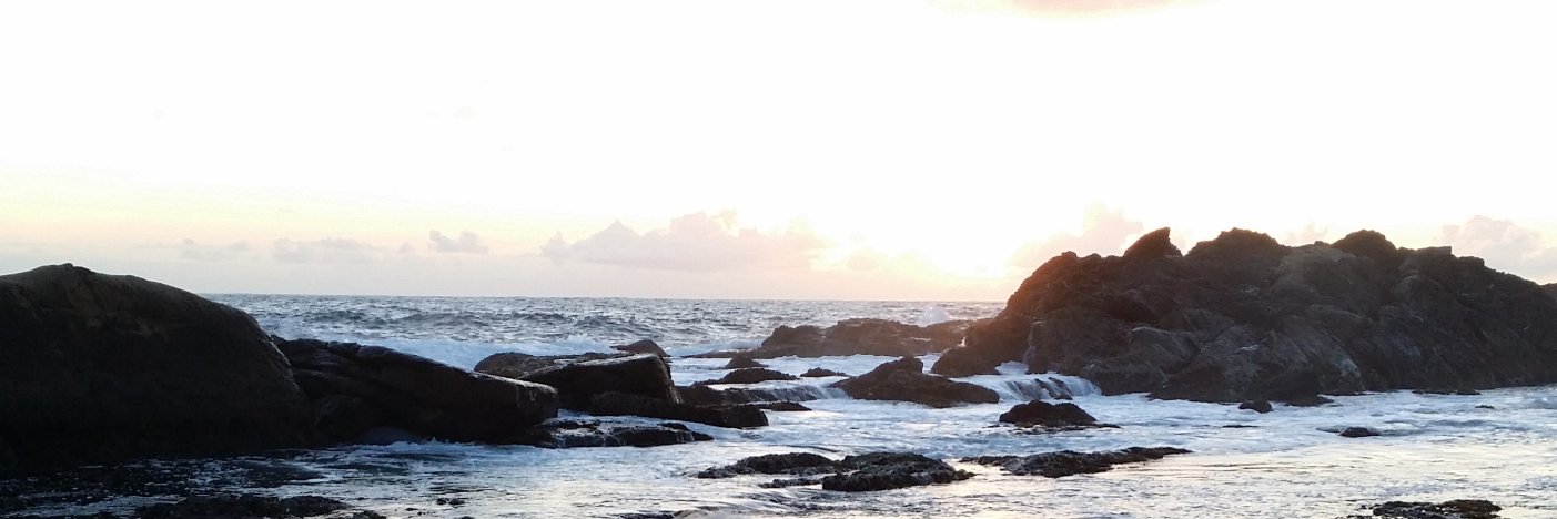 Daniela Busse banner