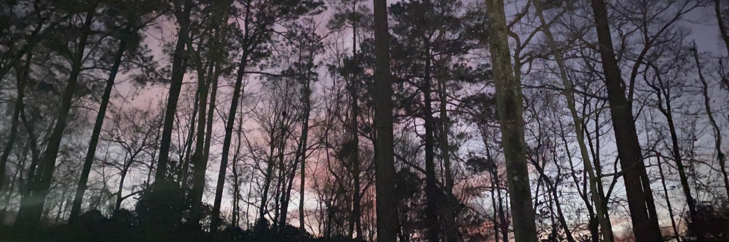 ed_kerns's profile banner image