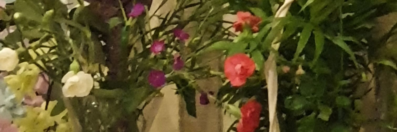 S_acrod's profile banner image