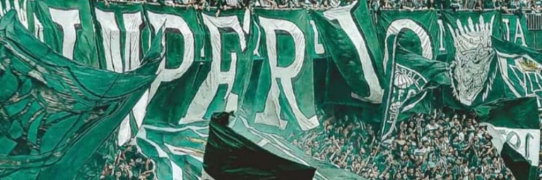 Negralhaa's profile banner image