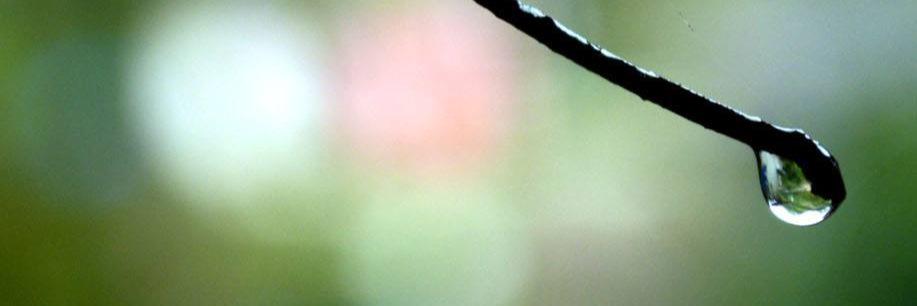 InFotoplus's profile banner image