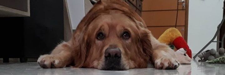 xandetresp's profile banner image